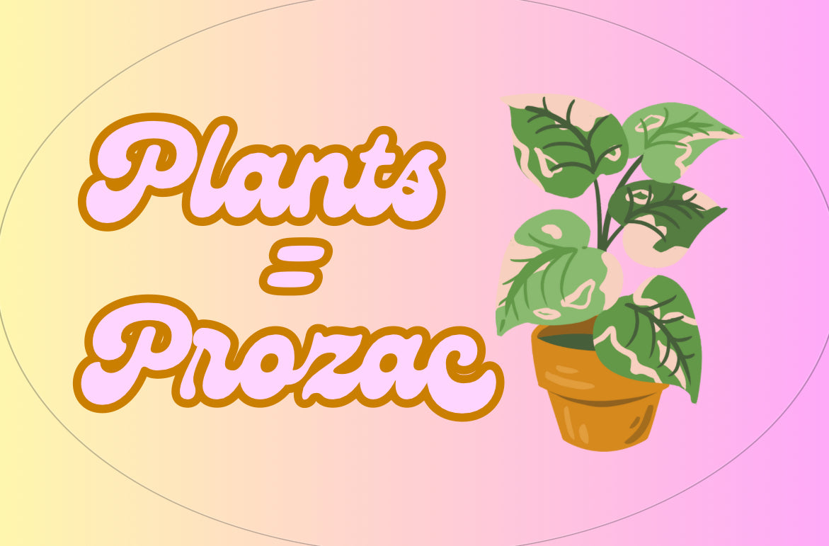 Plants=Prozac Sticker
